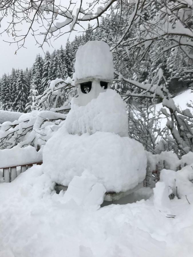 Alpindesign Kaunertal Kültér fotó